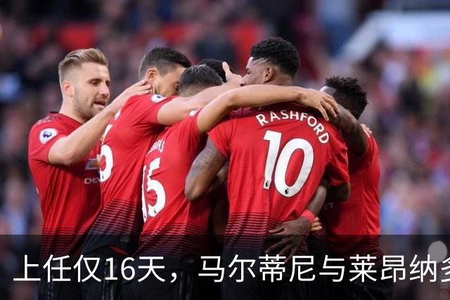 上任仅16天，马尔蒂尼与莱昂纳多辞去意大利足协职务